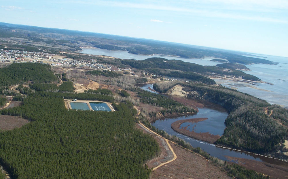 Cegep - Centre Forestville